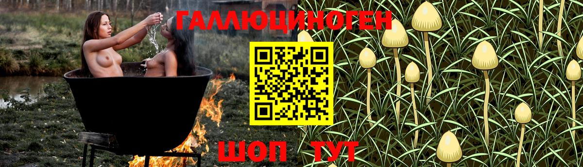 Ярославль  Псилоцибиновые грибы прущие грибы  Вход с VPN 