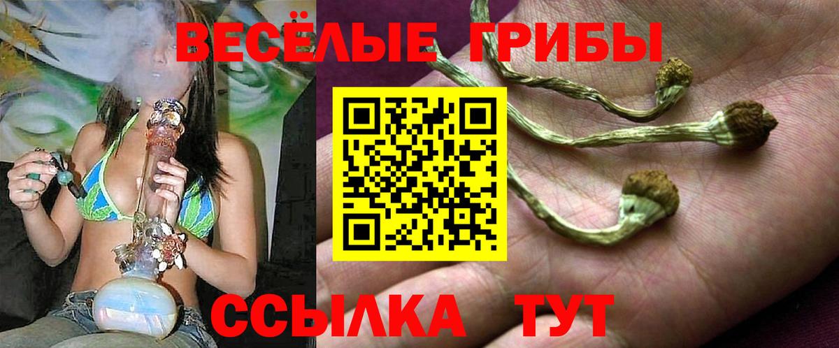 Галлюциногенные грибы Magic Shrooms Ярославль